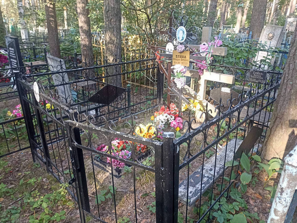 Елин Василий Сергеевич