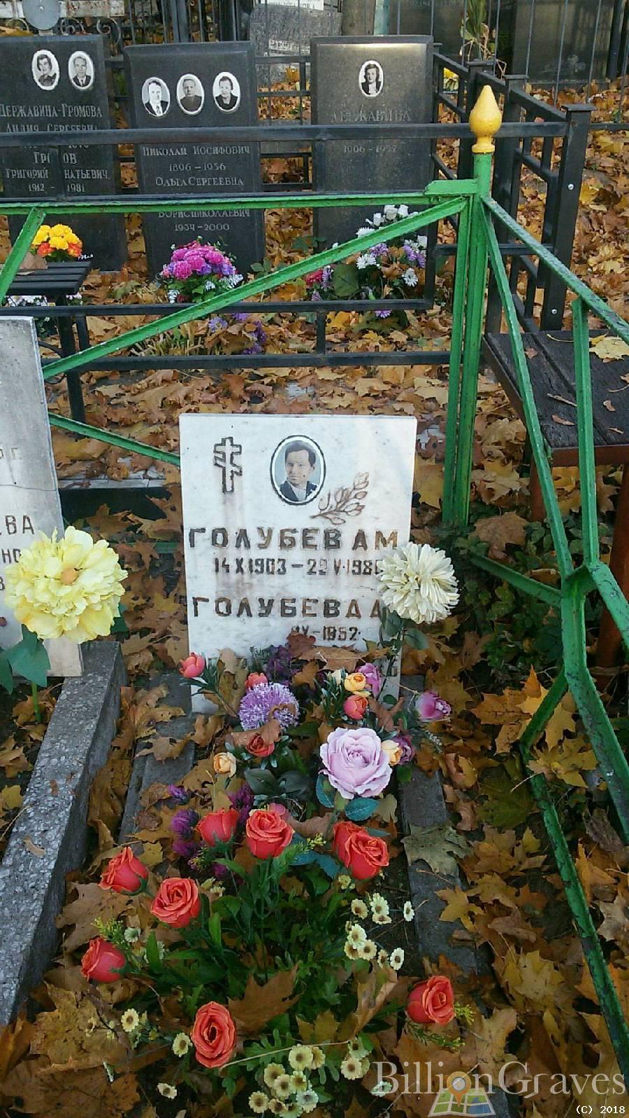 Голубев А. М.