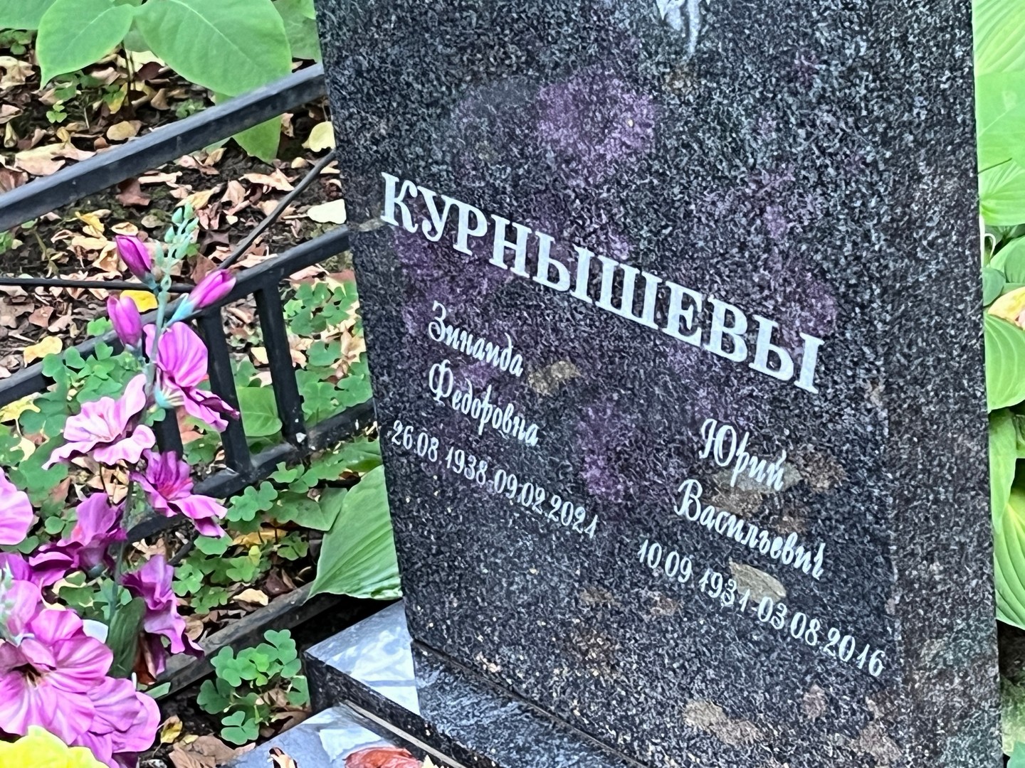 Курнышева