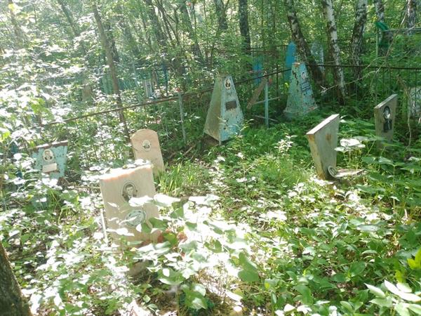Сапронова Прасковья Яковлевна