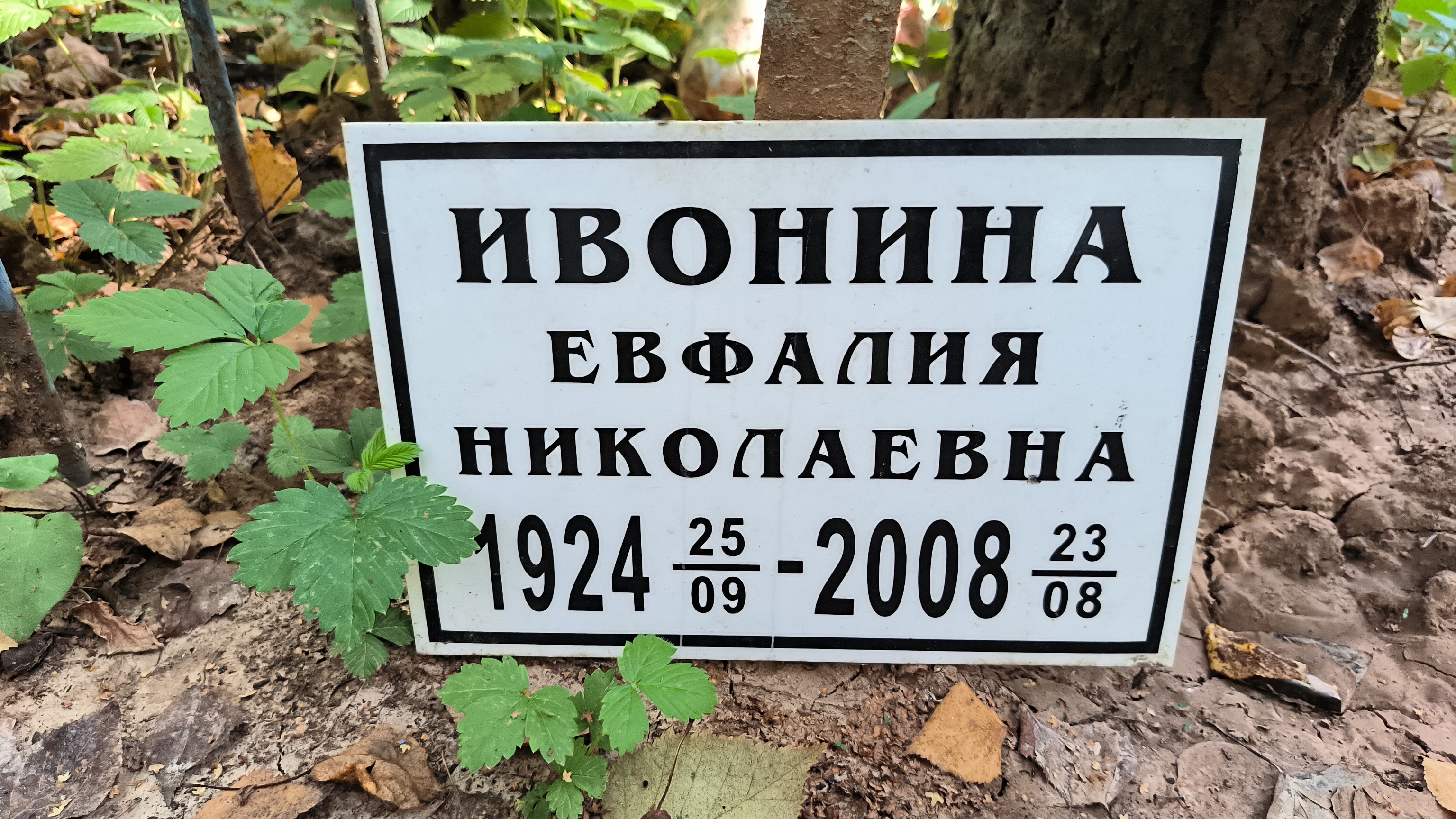 Ивонина Эльвира Михайловна