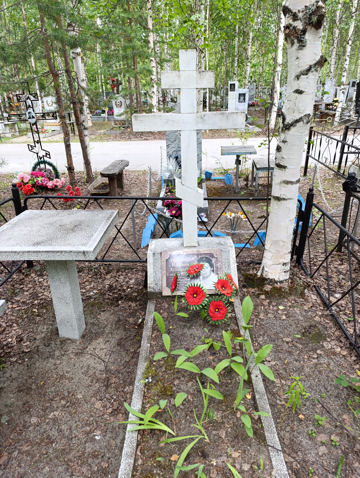 Маслова Евгения Лупановна