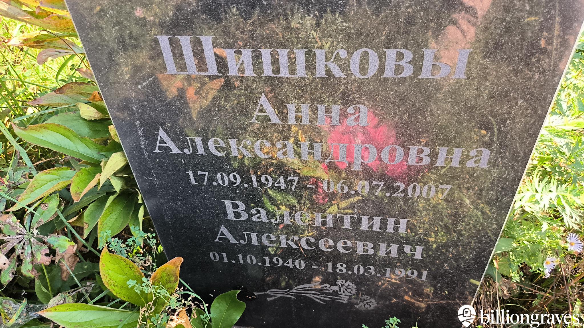 Шишкова Анна Александровна