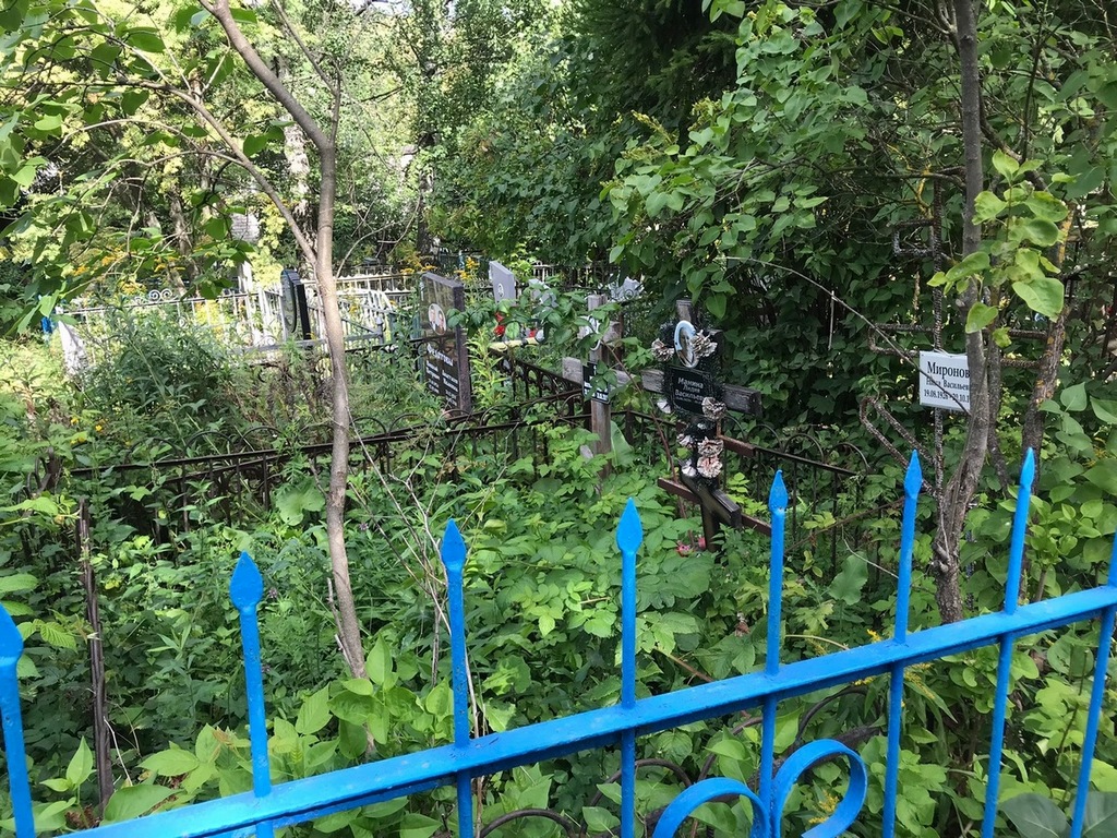Миронова Нина Васильевна