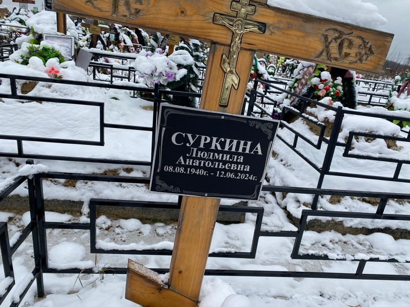Суркина