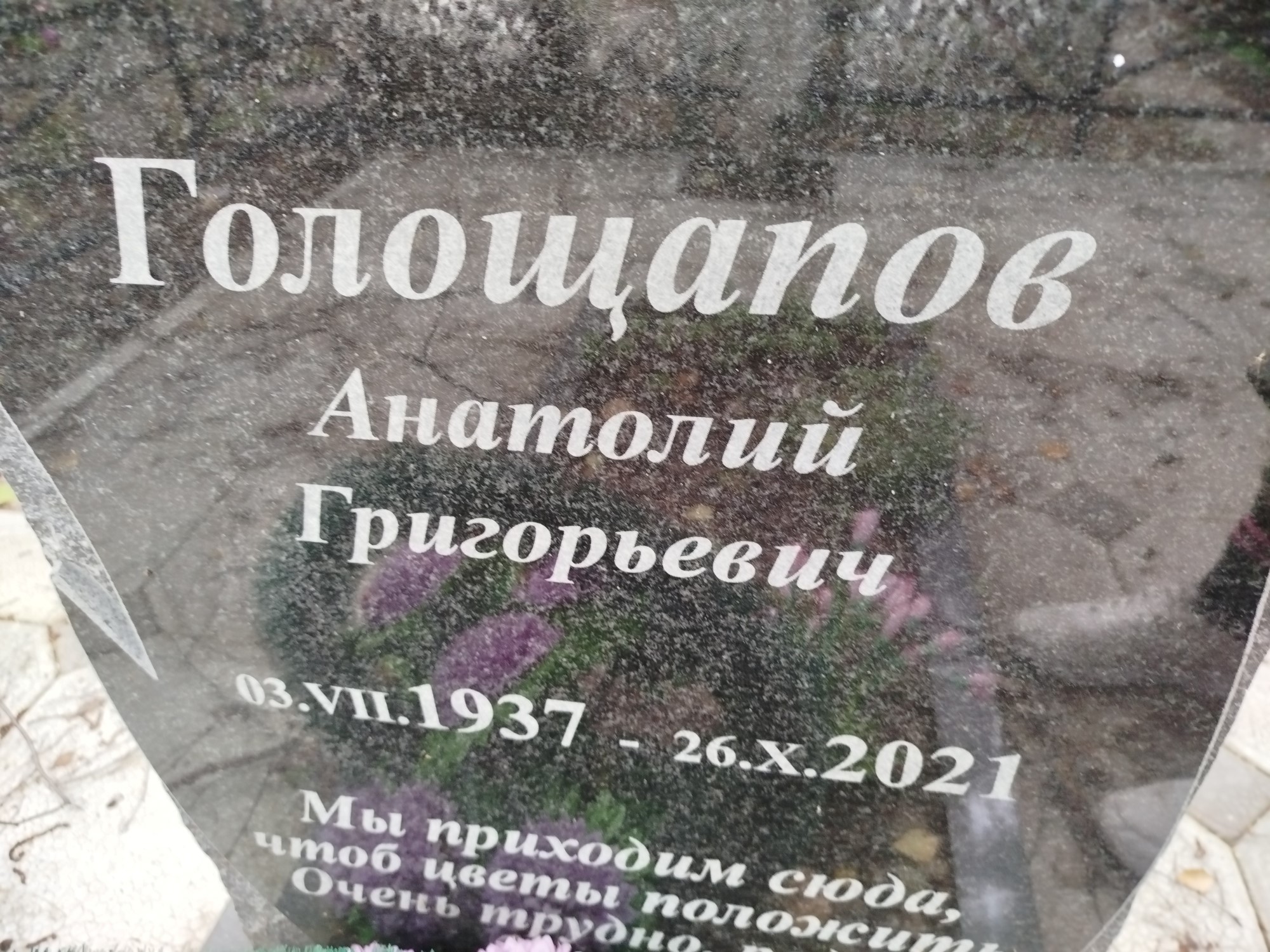 Голошапов Анатолий Григорьевич