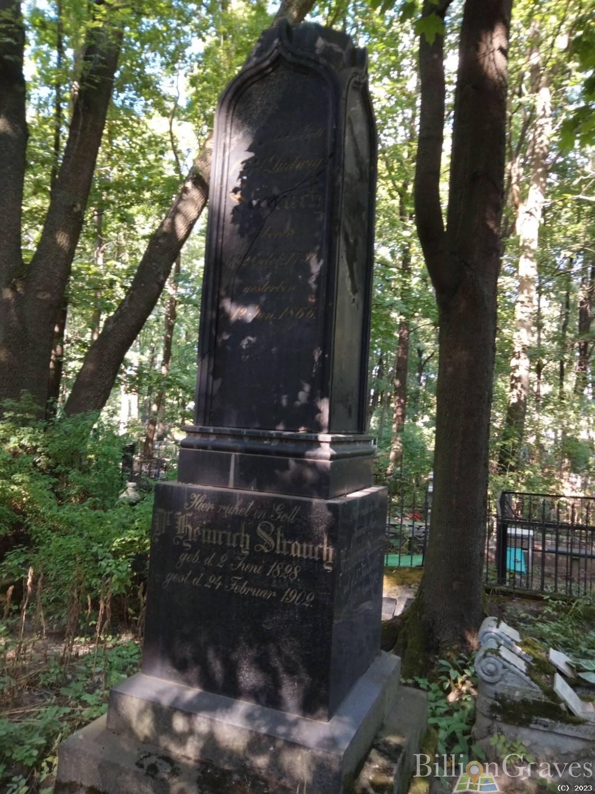 Strauch Heinrich