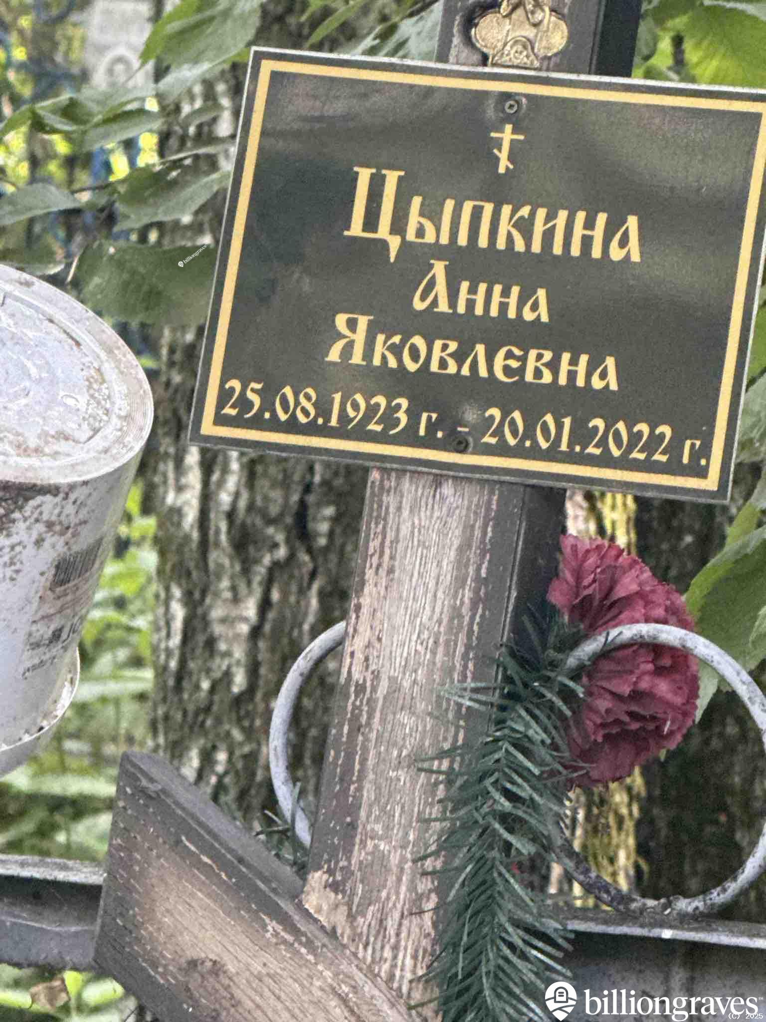 Цыпкина Анна Яковлевна