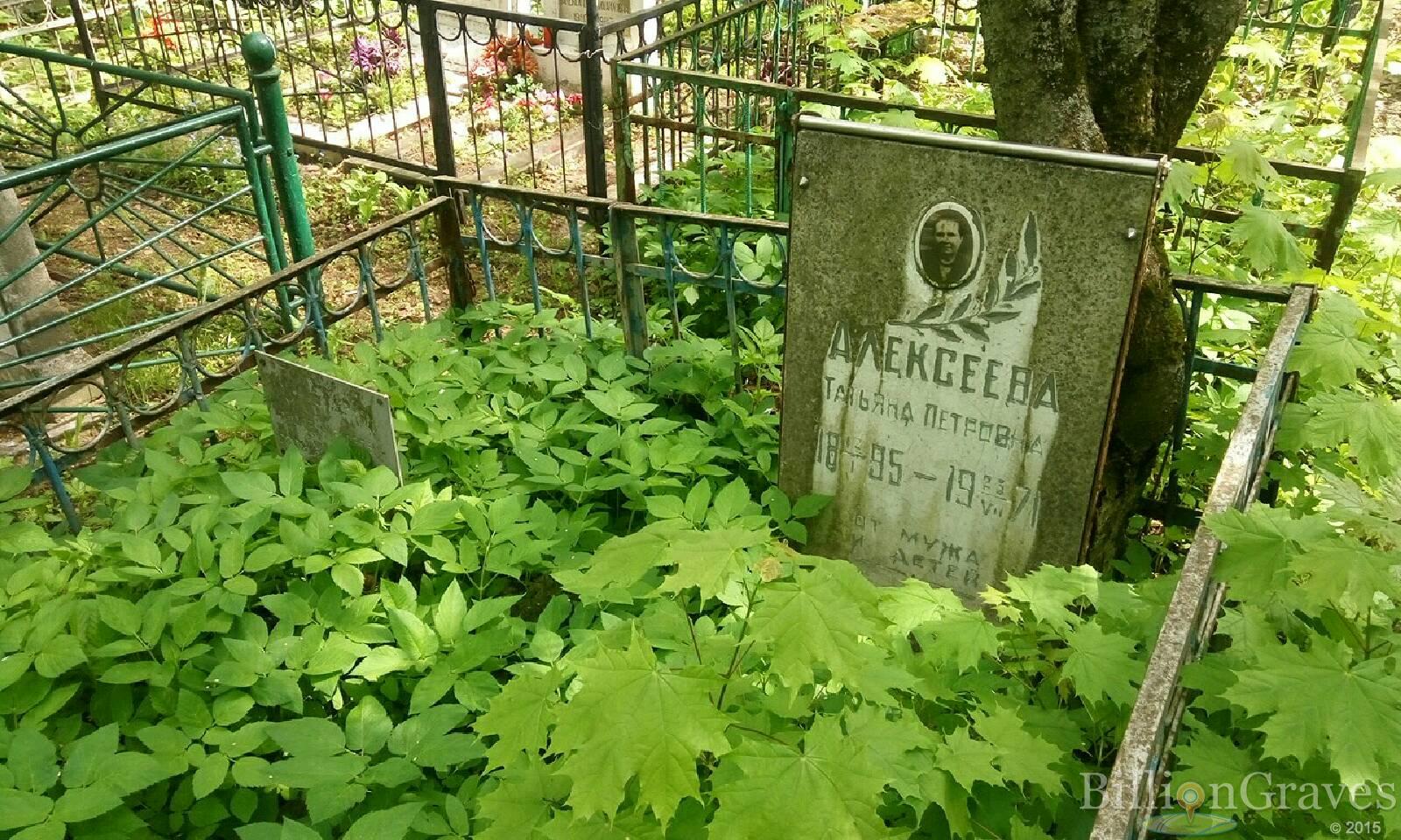 алексеева татьяна петровна