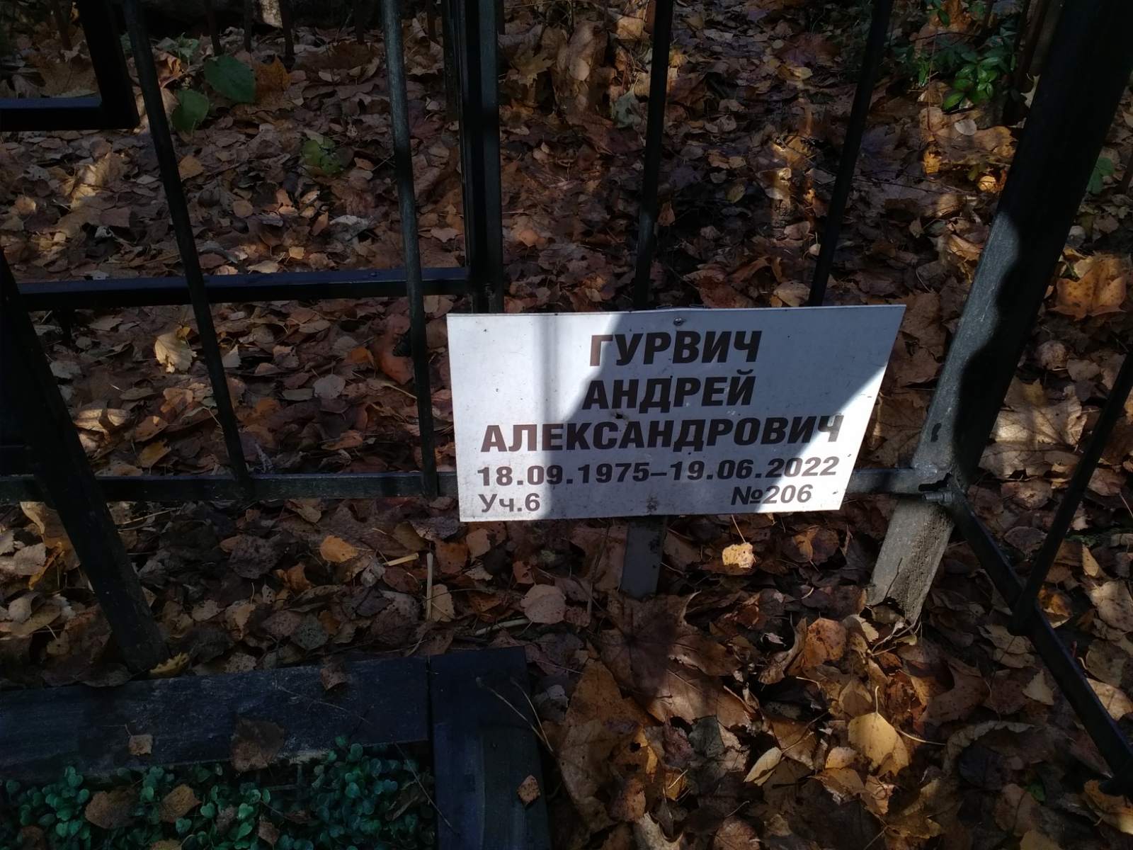 Гурвич Андрей Александрович