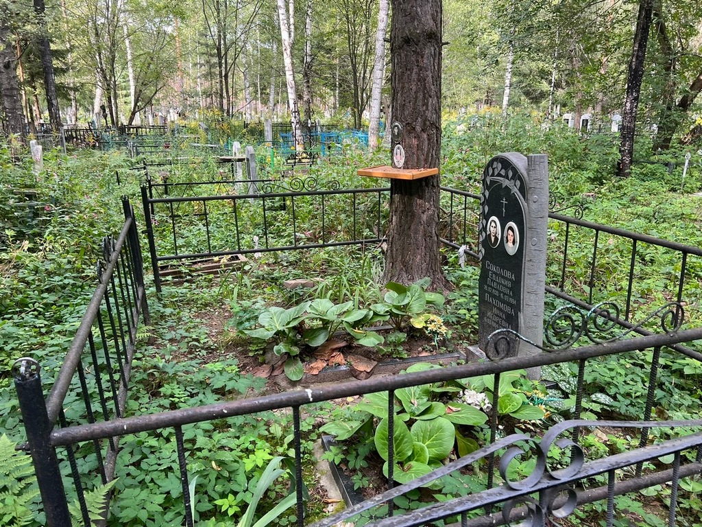 Соколова Евдокия Павловна