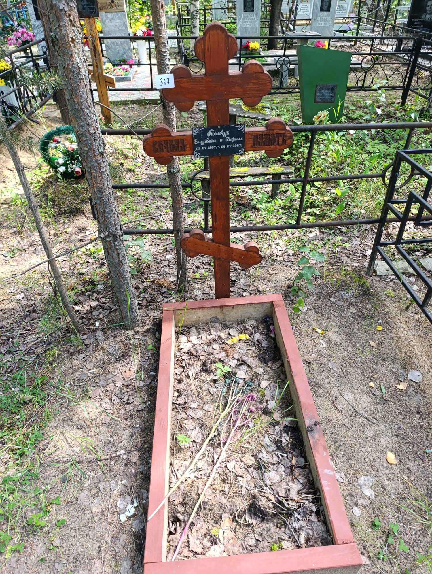 Томчук Елизавета