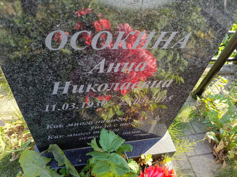 Осокина