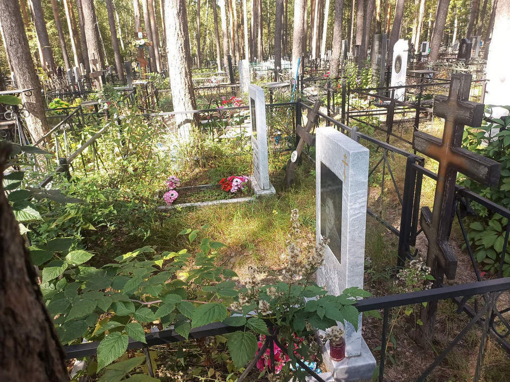 Агаркова Анастасия Андреевна