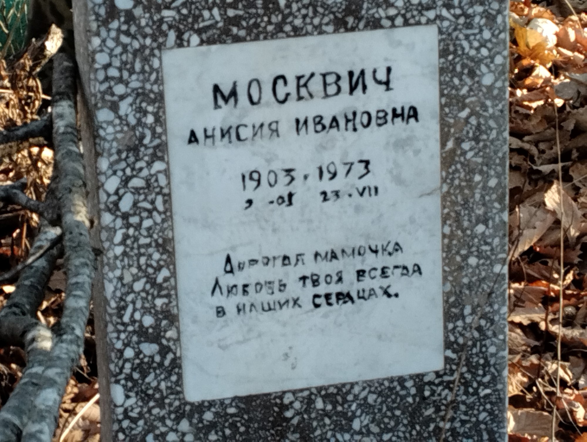 Москвич Анисия Ивановна