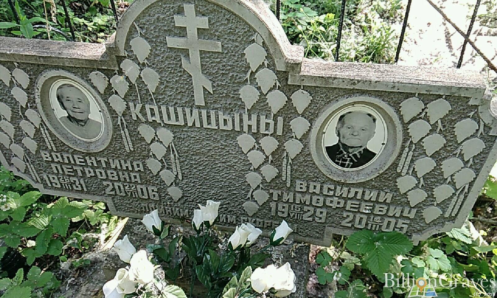 кашицын василий тимофеевич