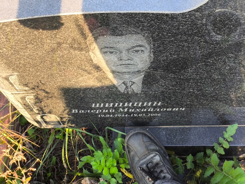 Шипицин