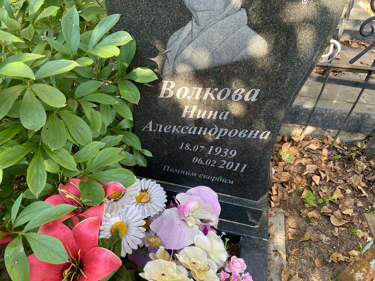 Волкова