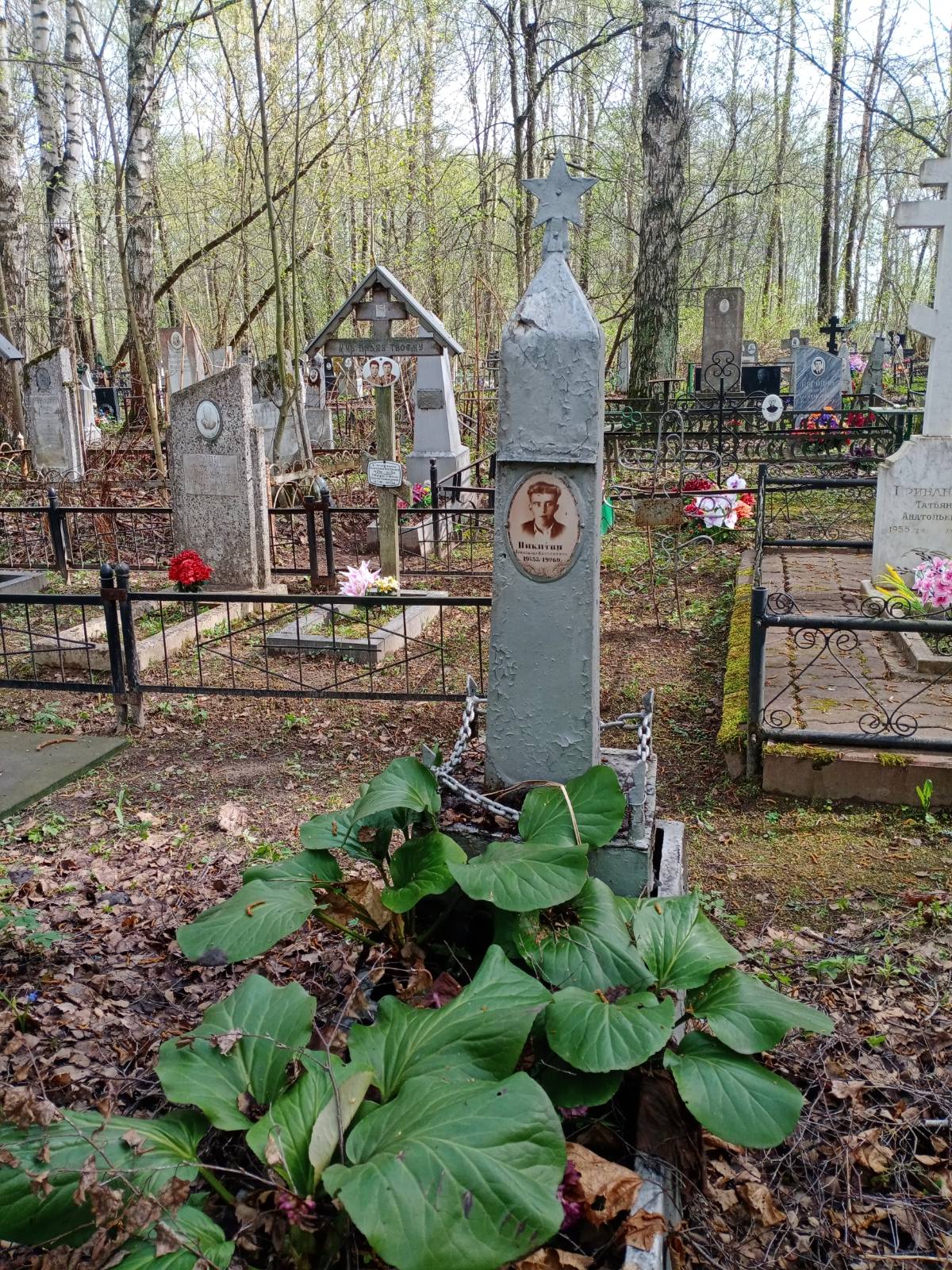 Никитин Александр Николаевич