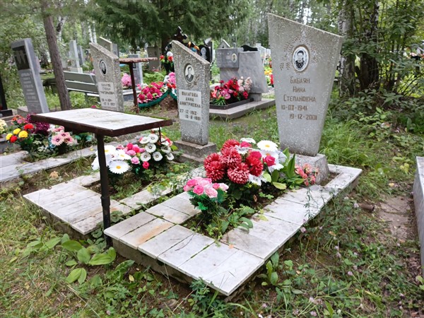 Бабаян Нина Степановна