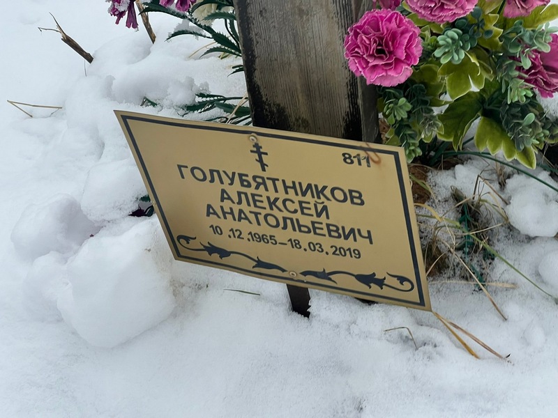 Голубятников