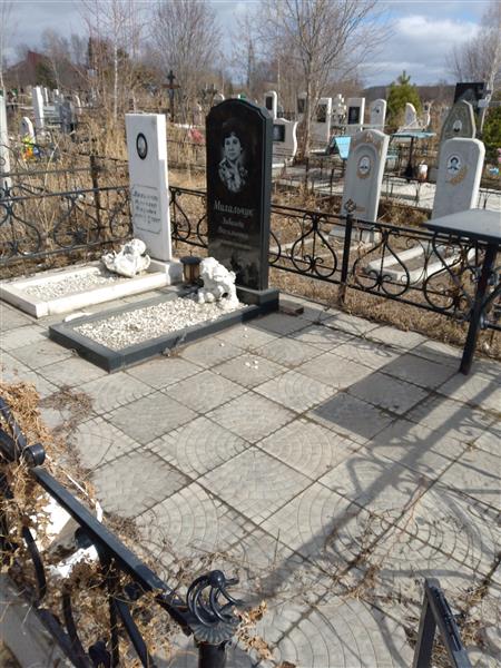 Михальчук Владимир Петрович
