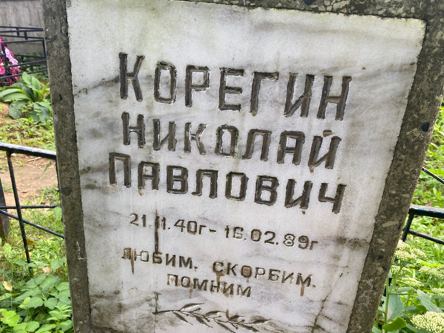 Корегин