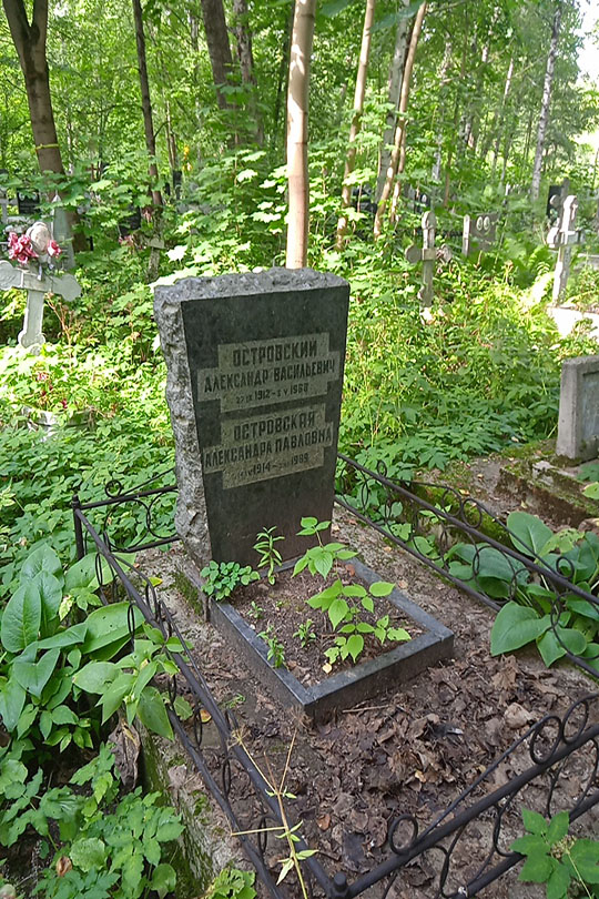 Островский Александр Васильевич