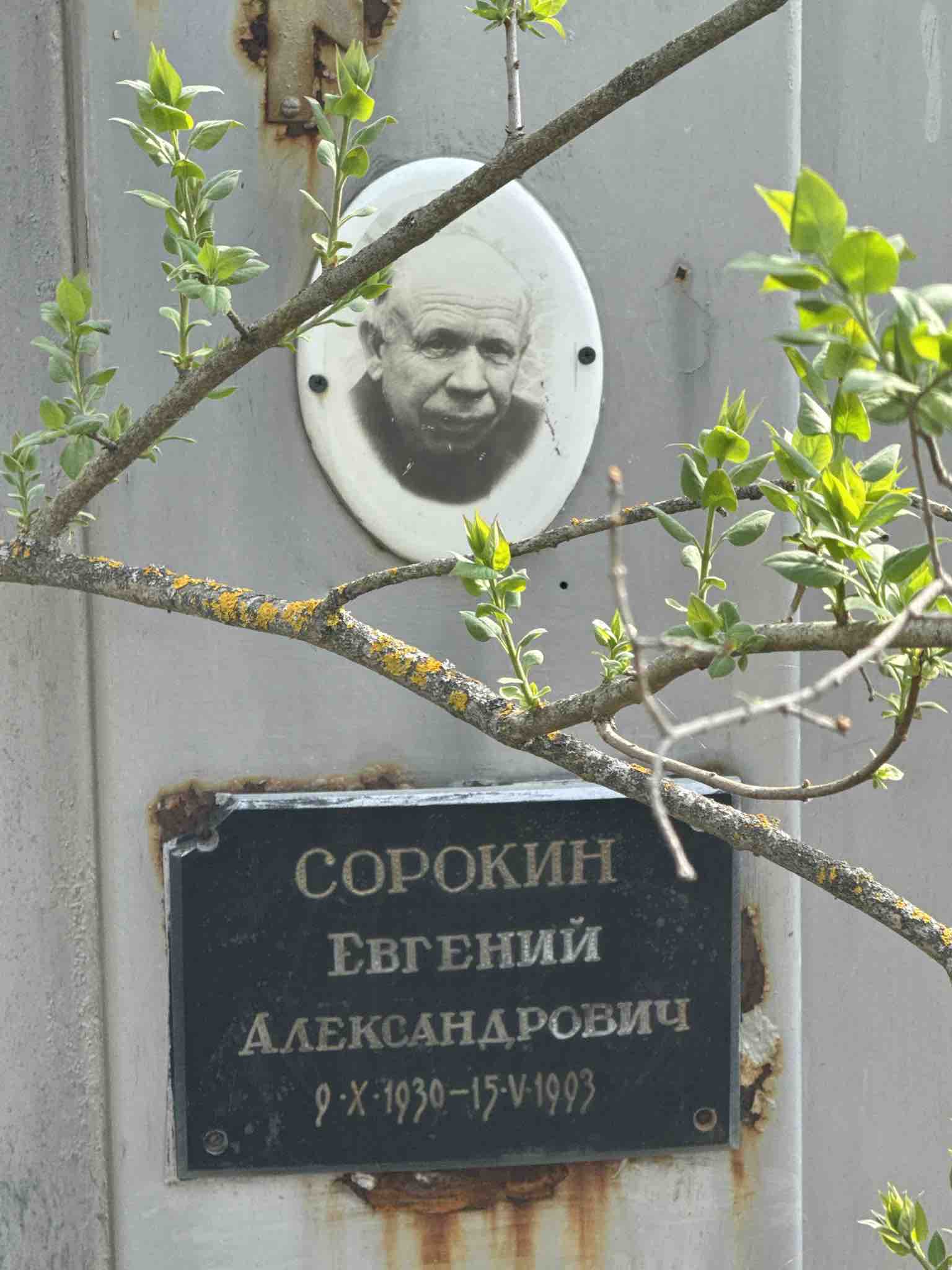 Сорокин Евгений Александрович