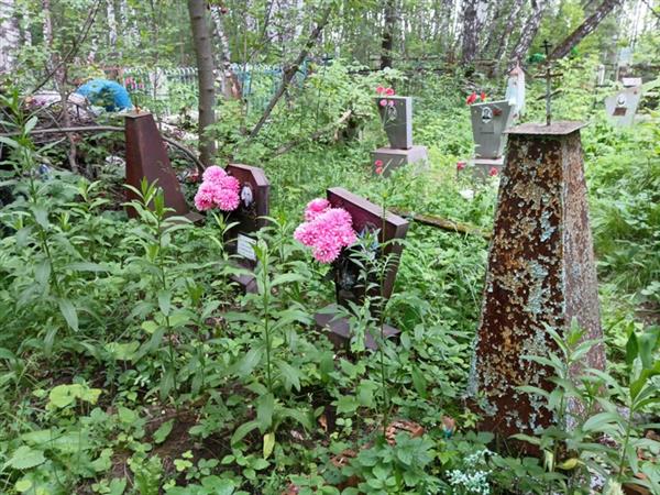 Медведев Александр Дмитриевич