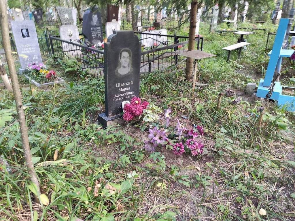 Шамкий Мария Алексеевна