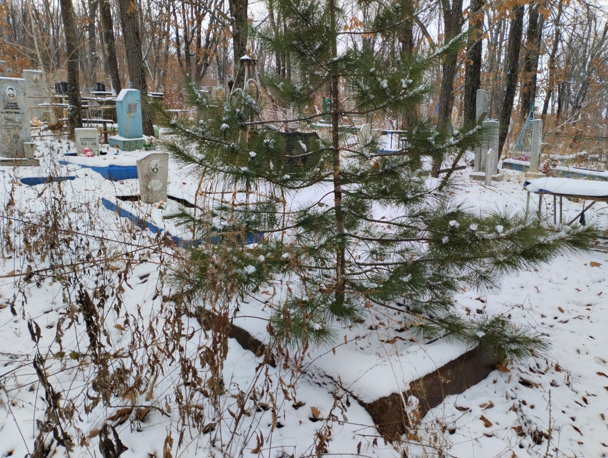 Никулин Иван Сергеевич