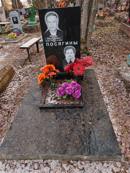 Посягина Агния Николаевна