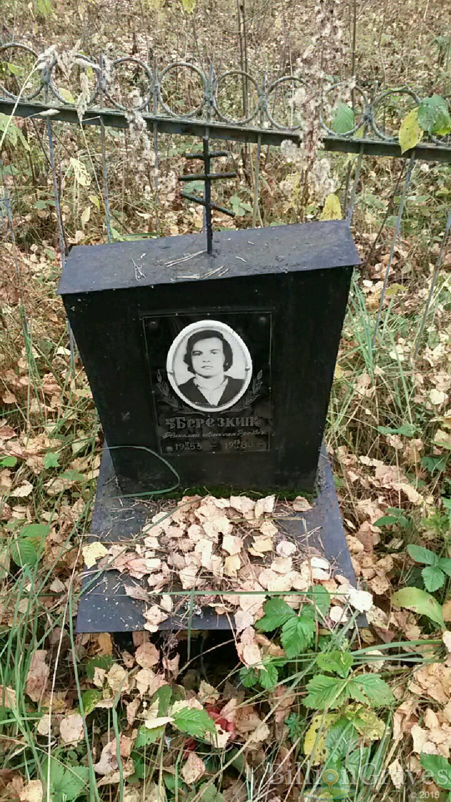 Берёзкин Николай Александрович