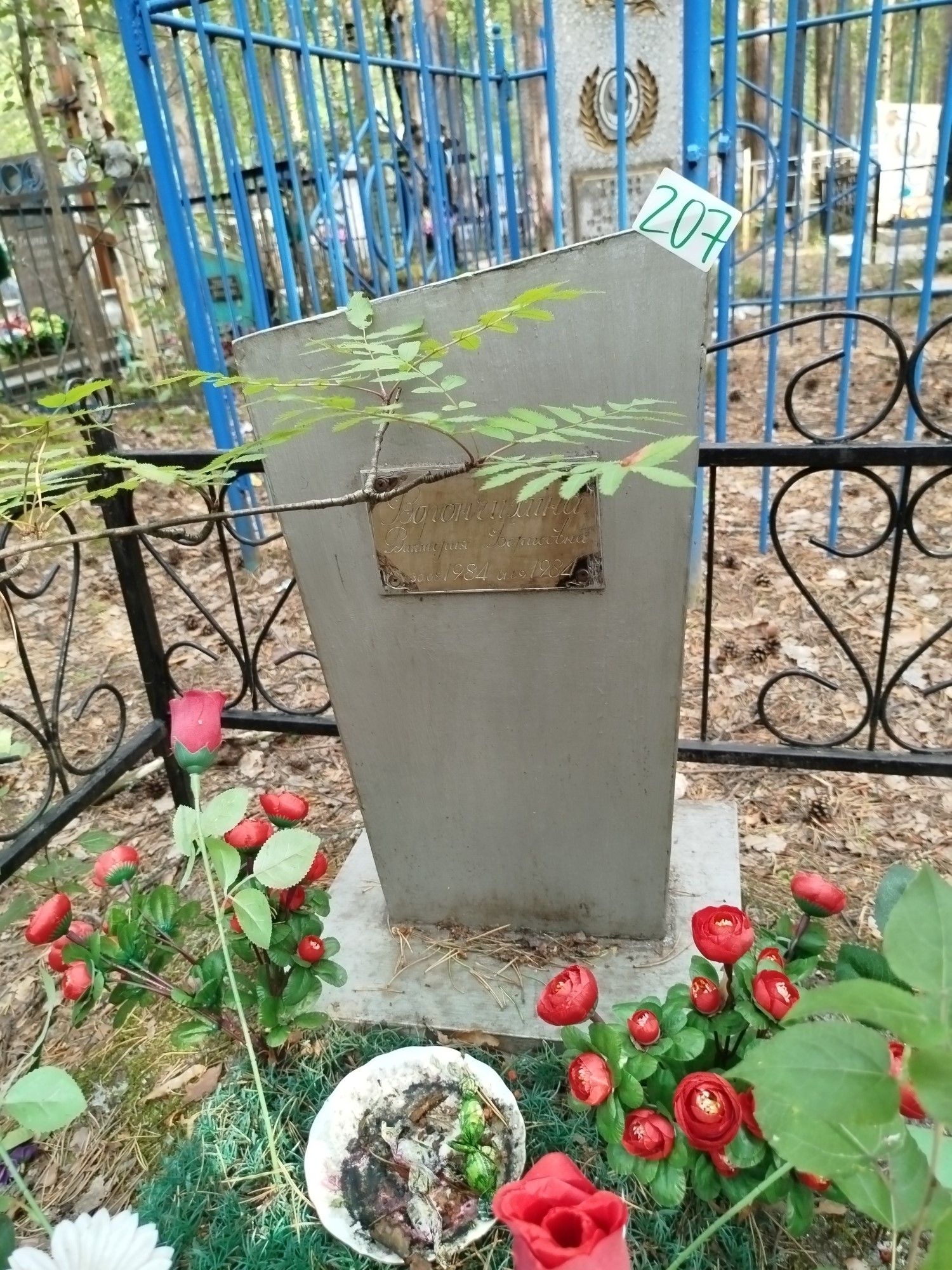 Ворончихина Виктория Борисовна