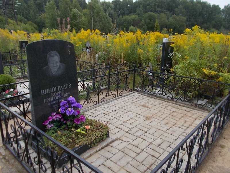 Виноградов Борис Григорьевич