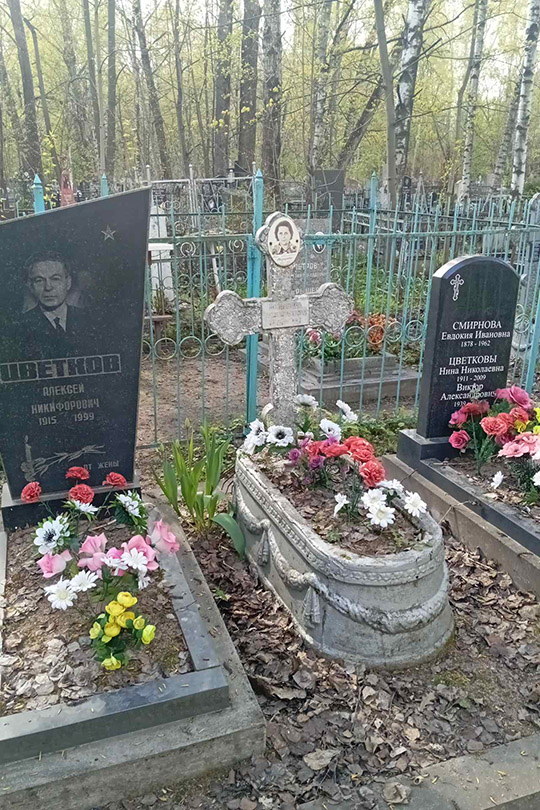 Цветков Виктор Александрович