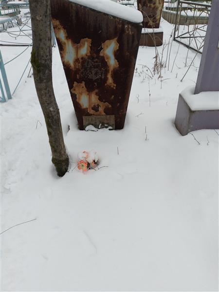 Мазунин В. А.