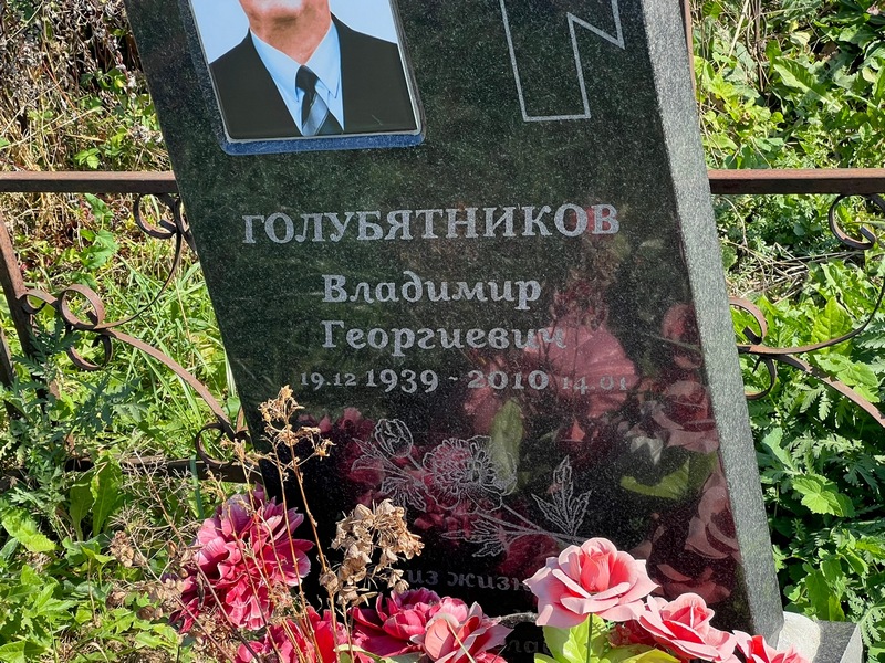 Голубятников