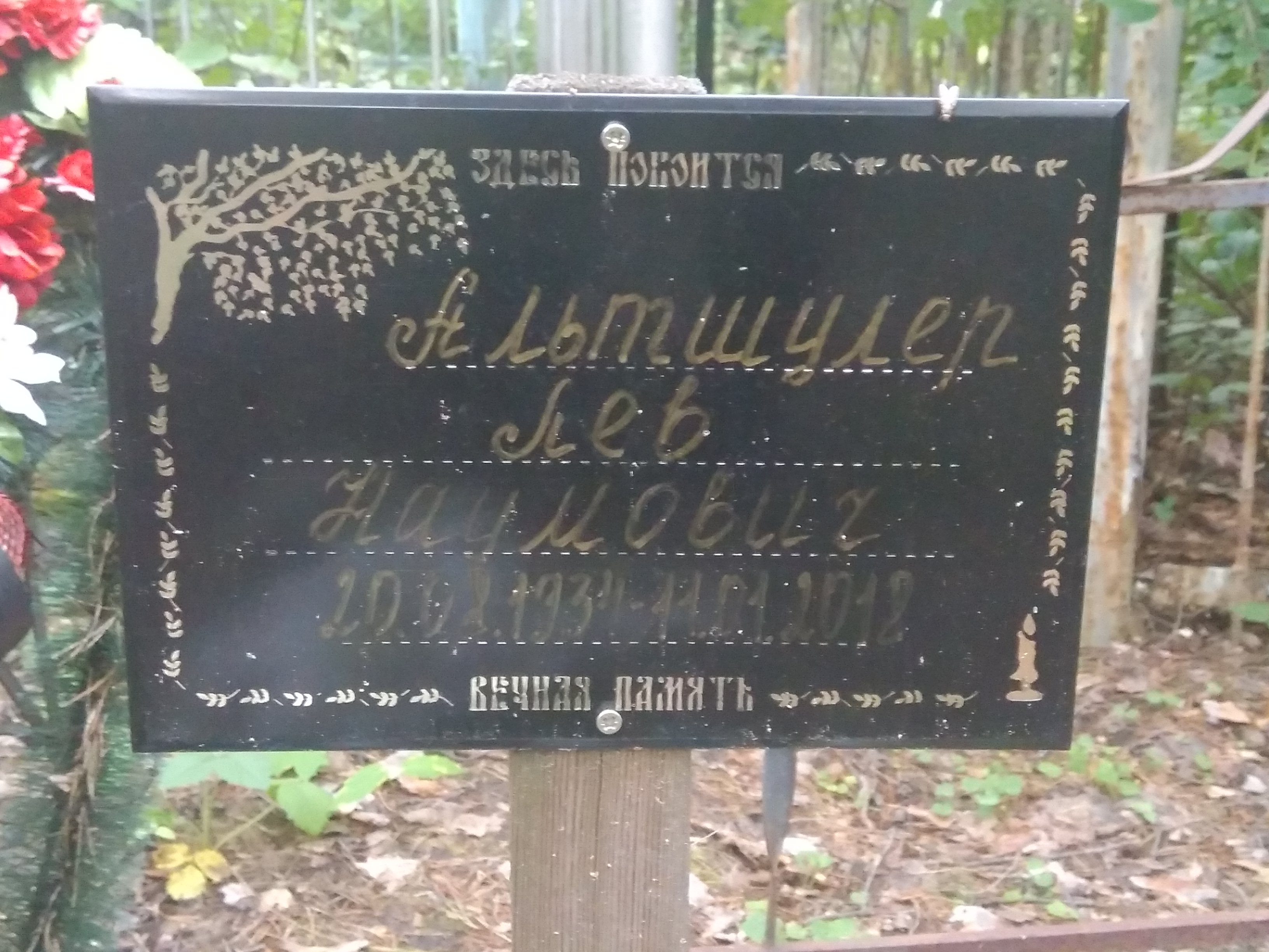 Альтшулер Лев Наумович