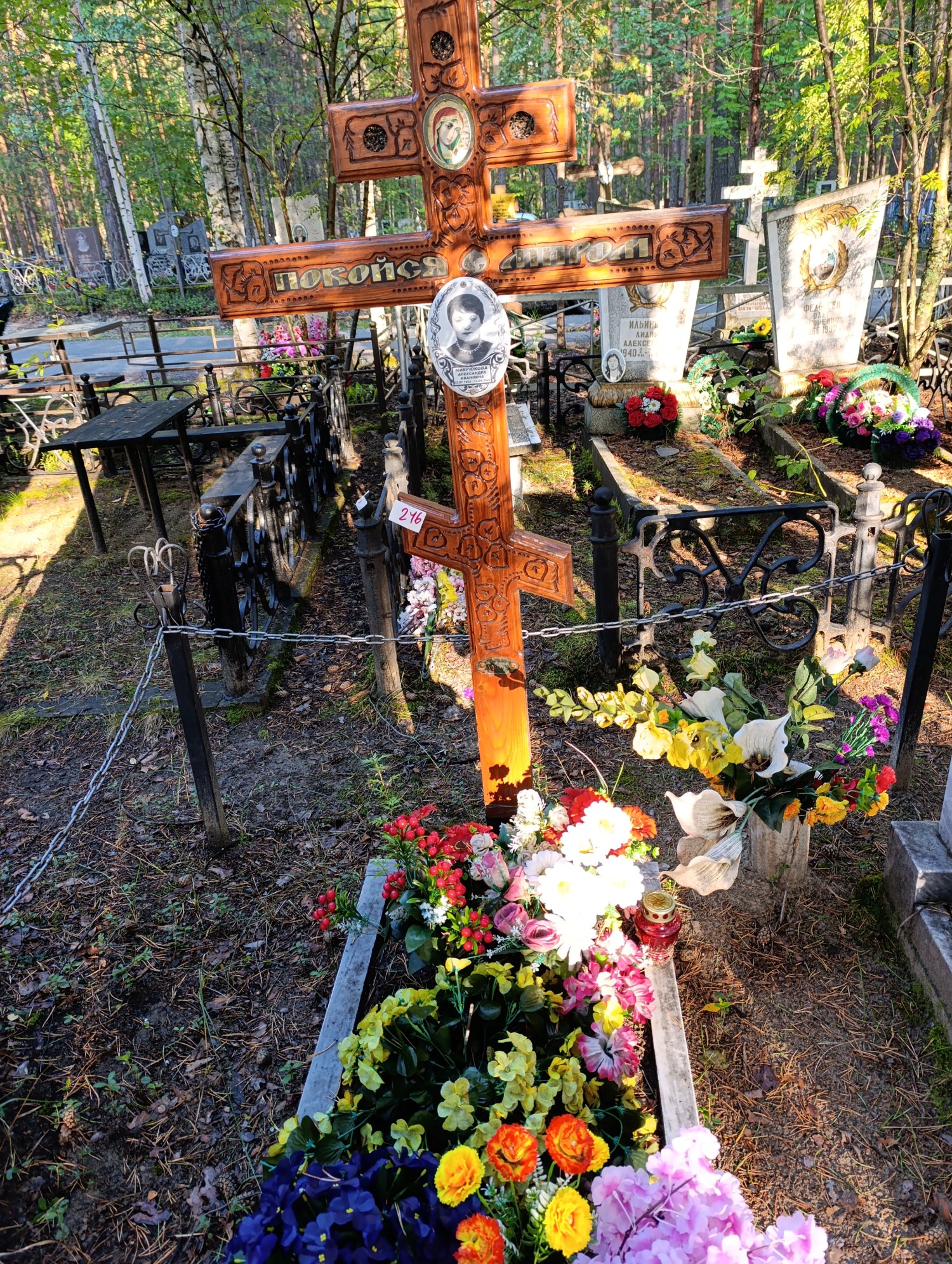 Микрюкова Александра Ивановна