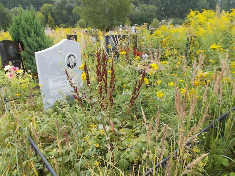 Бубнов Лев Александрович