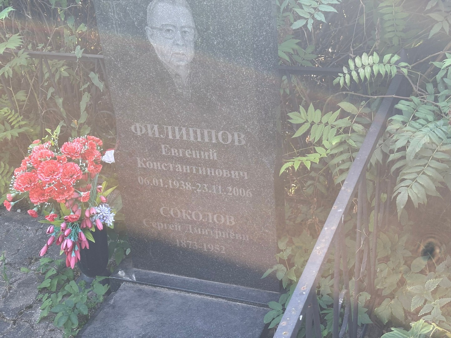 Соколов