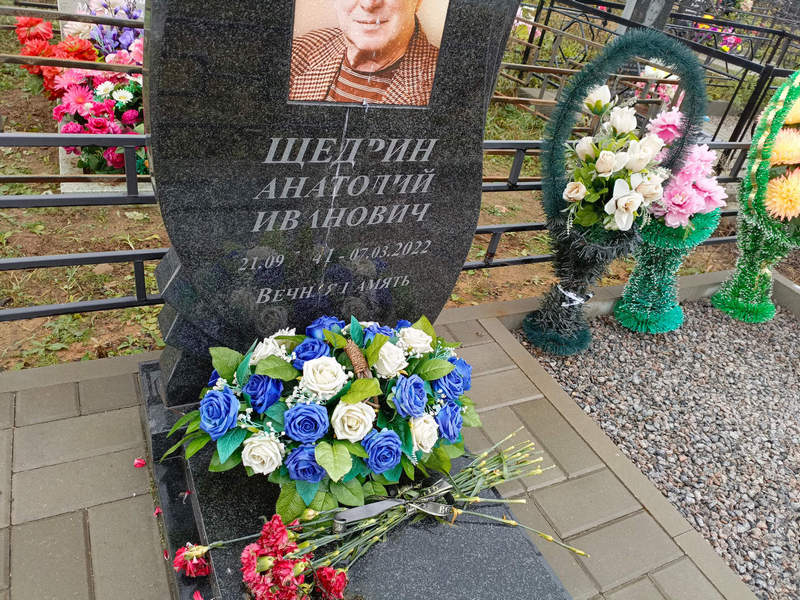 Щедрин