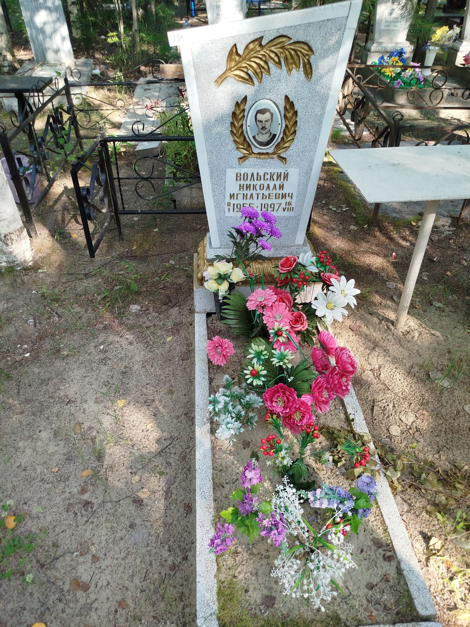 Вольский Николай Игнатьевич