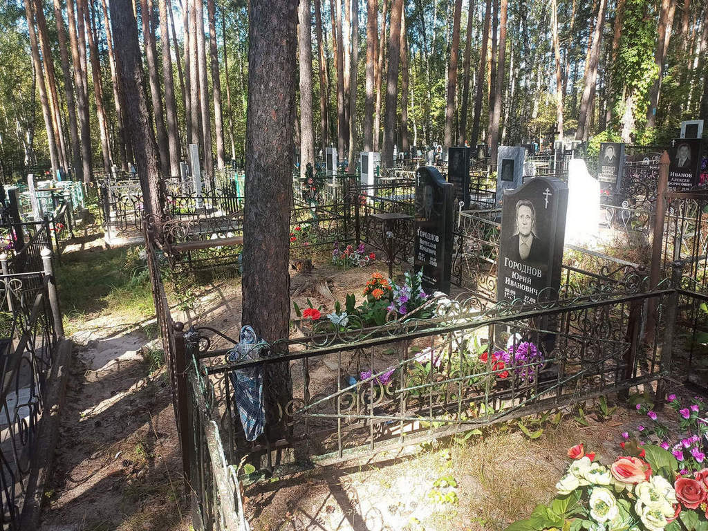Городнов Юрий Иванович