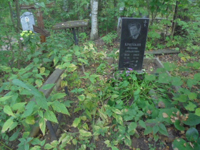 Критский Валерий Алексеевич