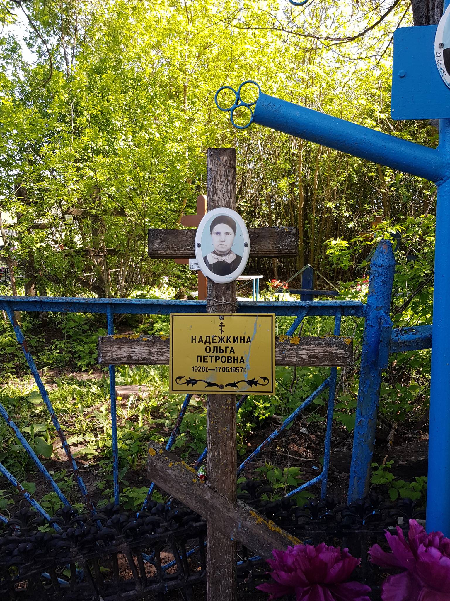 Надёжкина Ольга Петровна