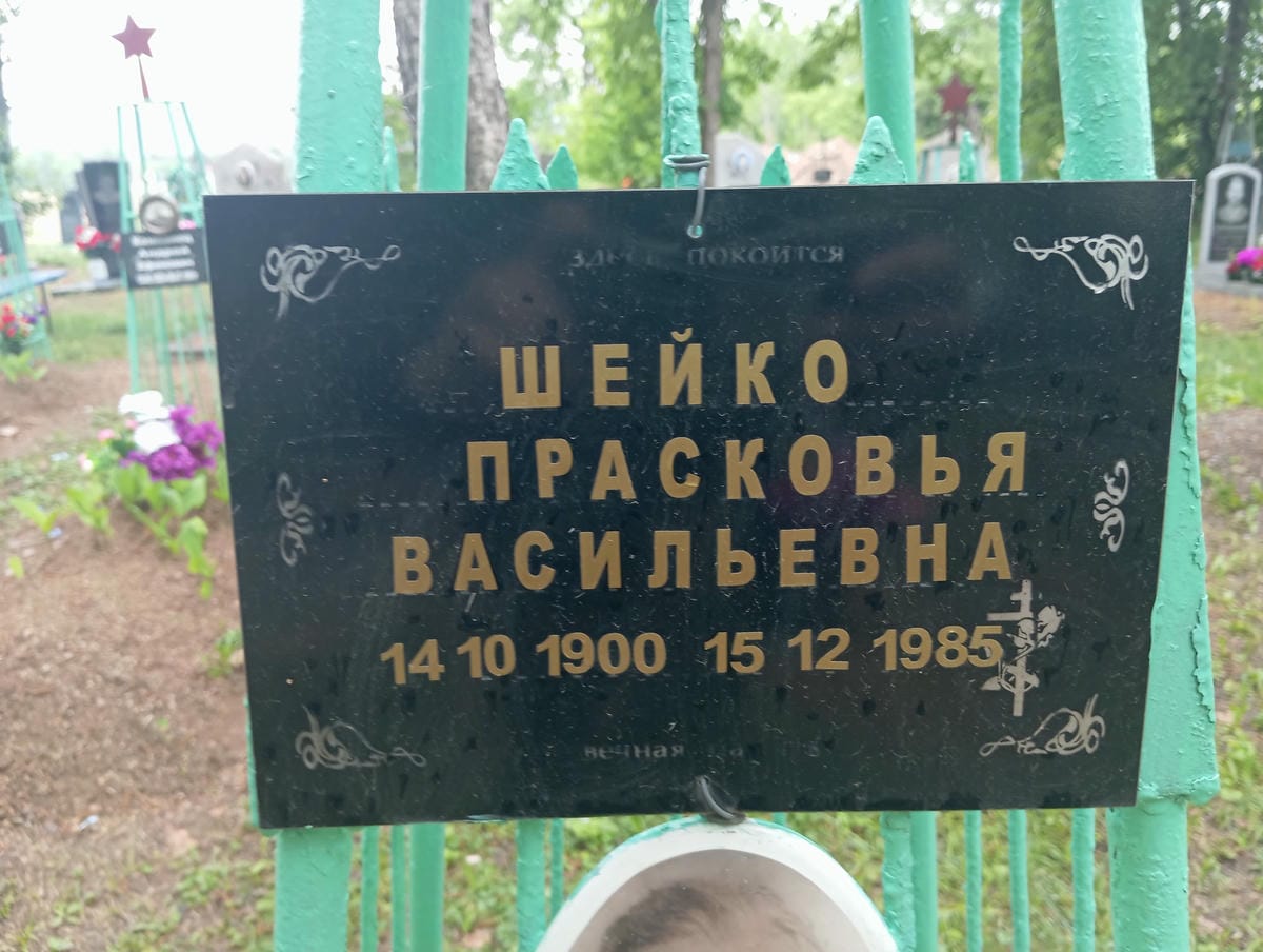 Шейко Прасковья Васильевна