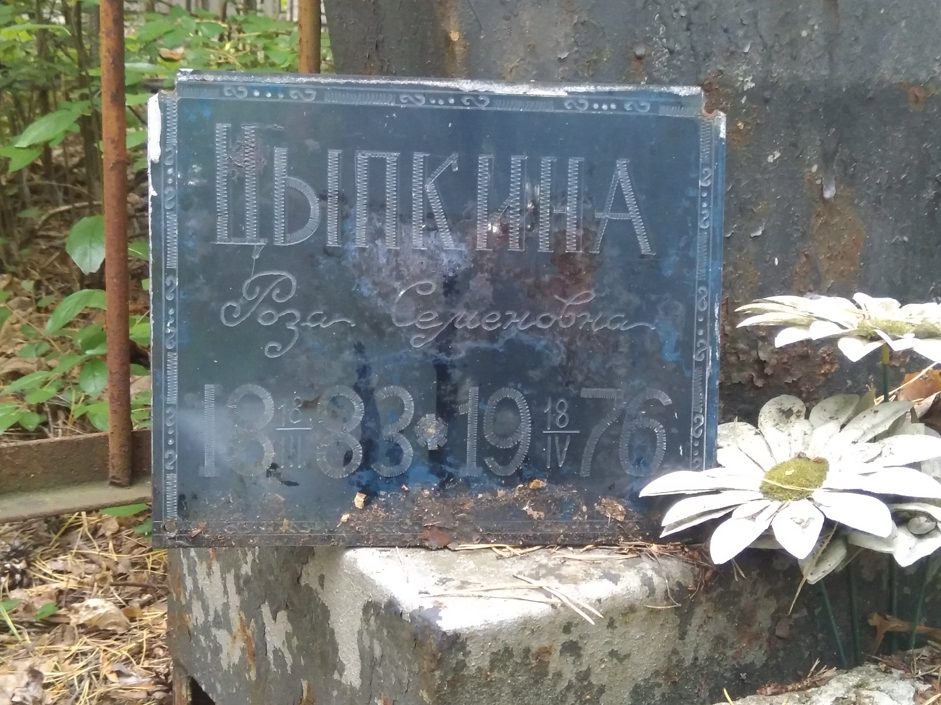 Цыпкина Роза Семёновна